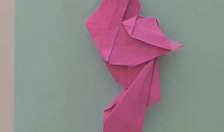 折纸视频教程大全,千变万化的艺术魅力解析