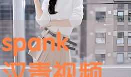 汉责视频,揭秘历史背后的责任与担当